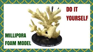 How to prepare Model of Millepora, The Fire Corel from Foam Waste