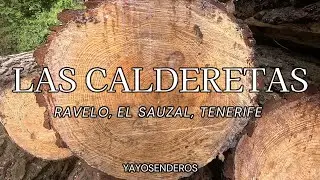 LAS CALDERETAS, RUTA CIRCULAR POR EL MONTE DE RAVELO, TENERIFE