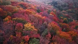 Embrace Fall: How the season affects our health