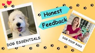 Dog Essentials: Heavy Duty Dog Poop Bags