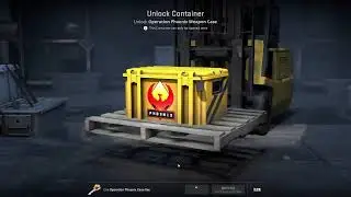 Open 5  CS 2 Case Everyday | Operation Phoenix | #20