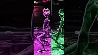 Patila - The Dusk Call VS Patila - Missed The Stranger | Reversed 😯