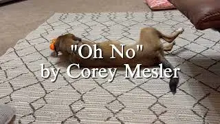 Oh No by Corey Mesler