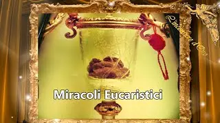 Miracoli Eucaristici nel Mondo 🙏🙏🙏💖