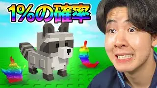 庭を育てるゲームで1%でしか入手できないラクーンを入手してみたら...