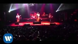 Elefantes - Al Olvido (Live)
