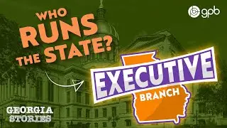 What does the Executive Branch do?