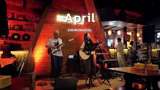 April - ModernCat [ Live at Seayou Bar&Craft ]