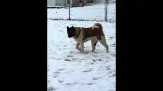 Zoe and Mason