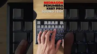 PENUMBRA K687 PRO | Mechanical Keyboard Sound Test