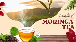 Let's talk about Moringa Tea! Benefits of Moringa Tea ? How to prepare Moringa Tea at Home ?