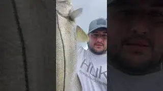 Monster 🐟 on!! #snook #floridacheck #saltlife