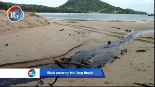Phuket environment officers test black water on Nai Yang Beach