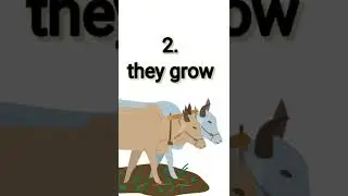 5 easy lines on farmer,