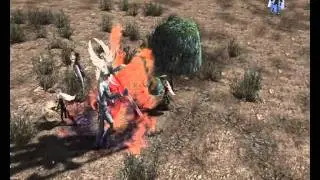Lineage 2 Raid Varka's Hero Shadith