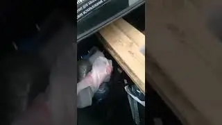 Перевозка досок в такси )))