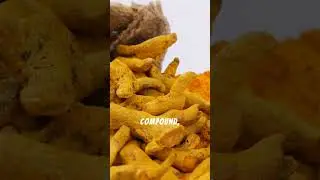 Turmeric has healed for 4,000 years ✨ Science proves it fights inflammation.