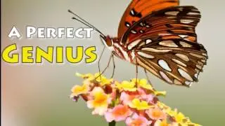 A Perfect Genius - Alan Watts - Personal Development