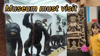 Indian Museum kolkata | Indian Museum Kolkata Tour | Asias Biggest Museum JADUGHAR Kolkata |