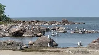Our amazing family travel - Grand Beach Provincial Park in Manitoba