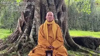 Sách Tấn - Tâm Cầu Giác Ngộ #nikaya #thichminhthanh #linhquyphapan #soisangphaphanhnikaya 
