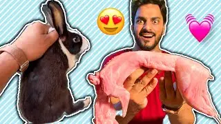 Alhamdulillah Khargosh🐇Zibah kar k Roast bna lia 😍| Mishkat khan | The Fun Fin
