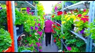 Flower 🌼 Shopping with Mom Priceless  🌼  #flowers #mom #philippines