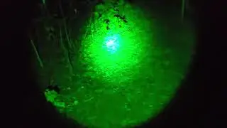Eibs Pond Tuesday Night April 28th 2025: GREEN!