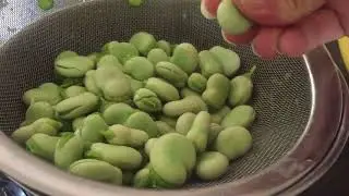 De la cueillette à l'assiette Fèves au lard