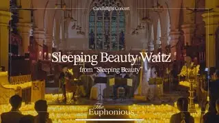 Sleeping Beauty Waltz - Harp, Flute, Violin & Cello Quartet at Candlelight Concert