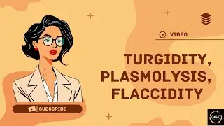Turgidity, plasmolysis, flaccidity class 10 ICSE