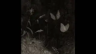 𝙪𝙧 𝙧𝙤𝙩𝙩𝙚𝙣 𝙝𝙚𝙖𝙧𝙩 (𝙥𝙧𝙤𝙙. 𝙙𝙖𝙫𝙞𝙙/𝙙𝙠𝙥)