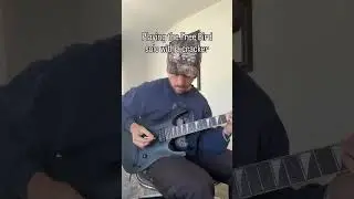 Free Bird