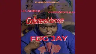 Collateral damage 2