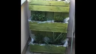 orto aromi in bancale - orto verticale sul balcone - Vertical bancal vegetable garden