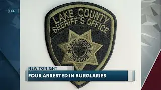 Lake County sheriff&rsquo;s deputies conduct raid, arrest four people in ongoing burglary investigation