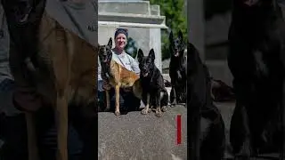 Spike's K9 Fund | East Coast Disaster Course happening next month!