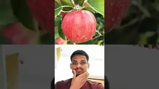 Anda, Lehsun, Pyaaz se Seb ka ped ugaya! (Grew an apple tree with egg, garlic, 🧄#facts #trending 😱