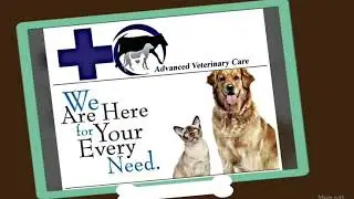 New Animal clinic and Surgery .Advanced Veterinary Care