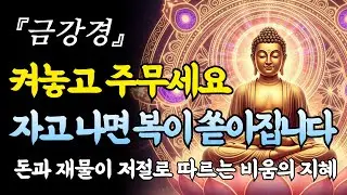 금강경 켜두기만 하고 편안히 잠드세요. 비울수록 가득 차오르는 재물과 복덕의 비밀ㅣ부처님 말씀ㅣ수면 명상