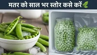 How to store Fresh Green Peas| हरि मटर कैसे स्टोर करे | Home Frozen peas