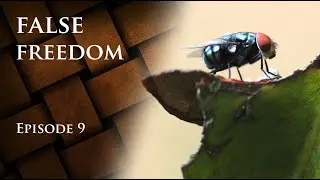Presumption of Guilt - Episode 9