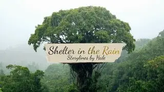Shelter in the Rain | Ambient Storytelling