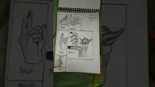 All anime characters hand drawing #anime #dbsuper #jjk2#naruto