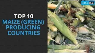 Top 10 Green Maize Producing Countries