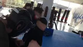 Reps JKD FMA MMA