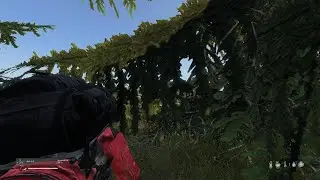 DayZ_20251231022959