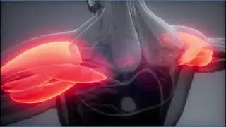 Swedish Massage vs. Deep Tissue Massage