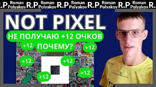 Получаю 4 монеты $PX в NOT PIXEL. Фармить в 3 раза больше, получать 12 $PX монет.