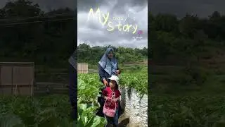 Petik strowberry 🍓🍓🍓#petikstroberi #strowberry #petikstrowbrry #serunyabermain #serunyapetikbuah